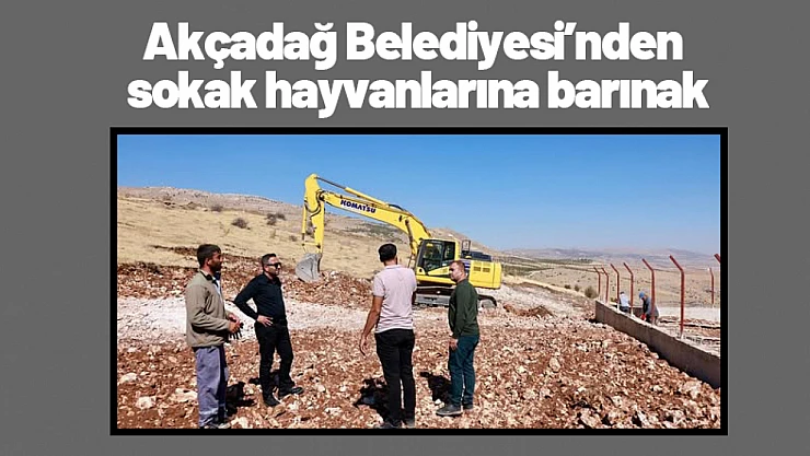 Akçadağ Belediyesi'nden sokak hayvanlarına modern barınak