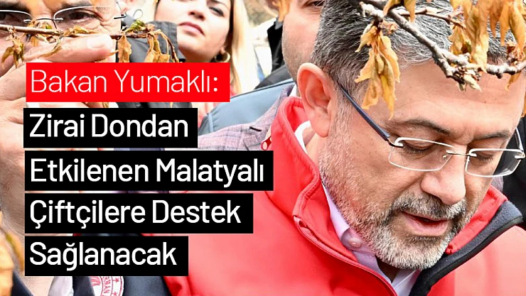 Bakan Yumaklı: Zirai Dondan Etkilenen Malatyalı Çiftçilere Destek Sağlanacak