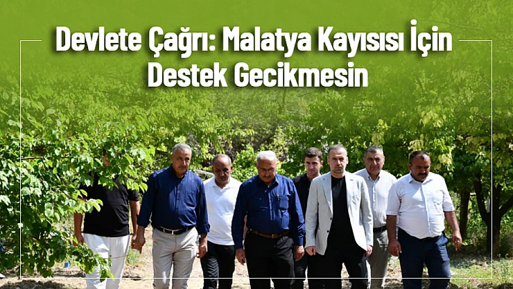 Devlete Çağrı: Malatya Kayısısı İçin Destek Gecikmesin
