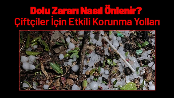 Dolu Zararı Nasıl Önlenir? Çiftçiler İçin Etkili Korunma Yolları