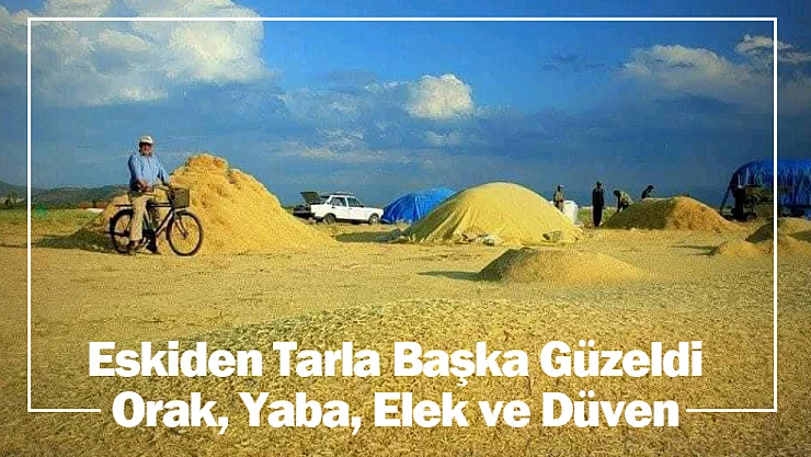 Eskiden Tarla Başka Güzeldi: Orak, Yaba, Elek ve Düven
