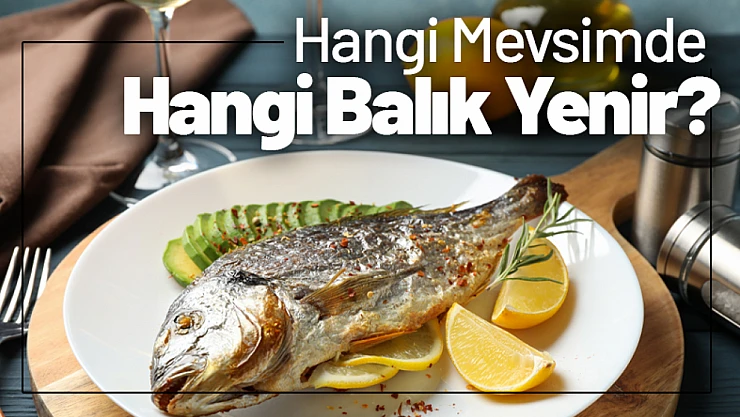 Hangi Mevsimde Hangi Balık Yenir?
