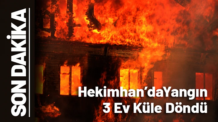 Hekimhan'da Yangın: 3 Ev Küle Döndü