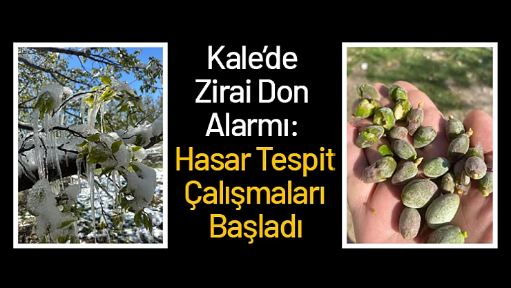 Kale'de Zirai Don Alarmı: Hasar Tespit Çalışmaları Başladı