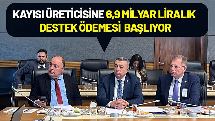 Kayısı Üreticisine 6,9 Milyar Liralık Destek Ödemesi Başlıyor