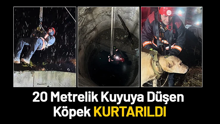 Malatya'da 20 Metrelik Kuyuya Düşen Köpek Kurtarıldı
