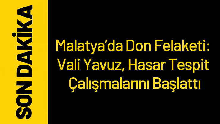 Malatya'da Don Felaketi: Vali Yavuz, Hasar Tespit Çalışmalarını Başlattı