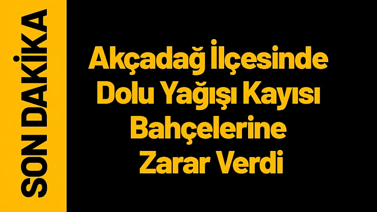 Malatya'nın Akçadağ İlçesinde Dolu Yağışı Kayısı Bahçelerine Zarar Verdi