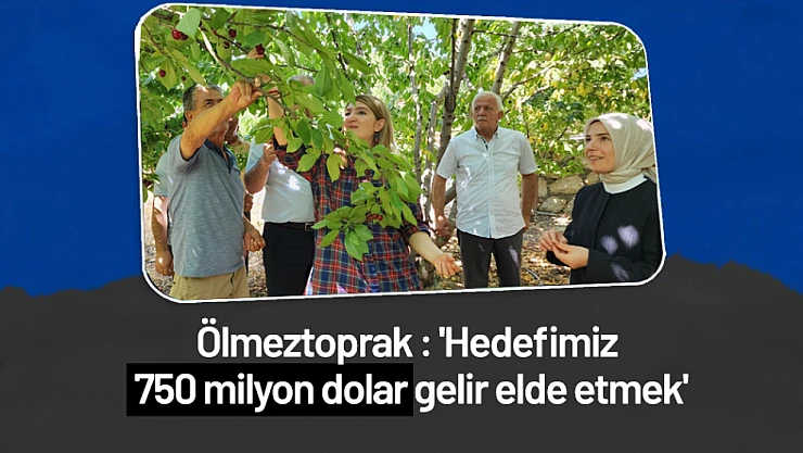Ölmeztoprak : 'Hedefimiz 750 milyon dolar gelir elde etmek'