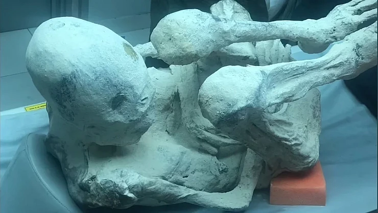 Uzaylılar mı, Sahtekârlık mı? Hamile Mumyalar Tartışma Yarattı!