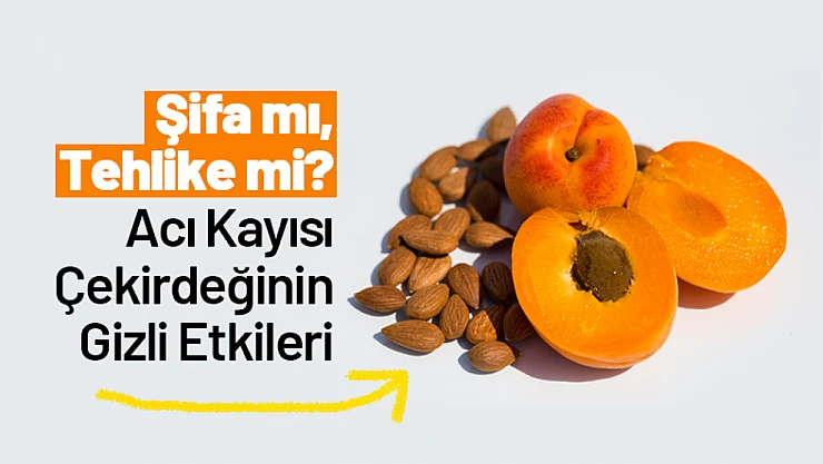 Şifa mı, Tehlike mi? Acı Kayısı Çekirdeğinin Gizli Etkileri!