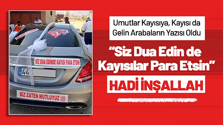 Siz Dua Edin de Kayısılar Para Etsin