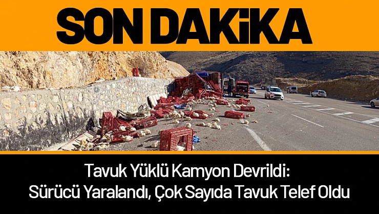 Tavuk Yüklü Kamyon Devrildi: Sürücü Yaralandı, Çok Sayıda Tavuk Telef Oldu