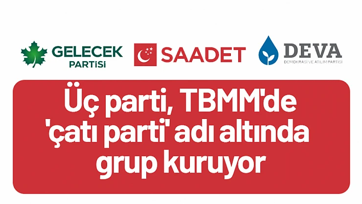 Üç parti, TBMM'de 'Çatı Parti' Adı Altında Grup Kuruyor