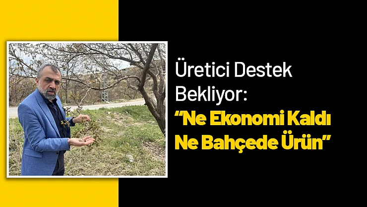 Üretici Destek Bekliyor: 'Ne Ekonomi Kaldı Ne Bahçede Ürün'