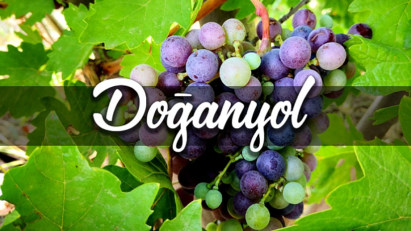 Malatya Doğanyol