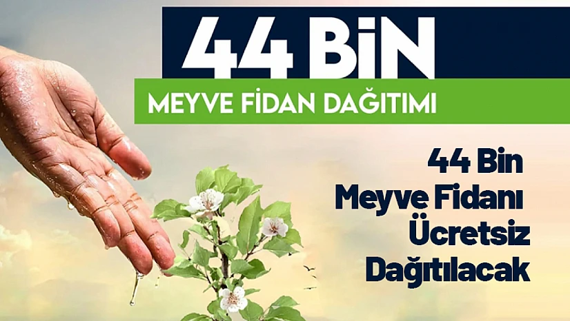 44 Bin Meyve Fidanı Ücretsiz Dağıtılacak