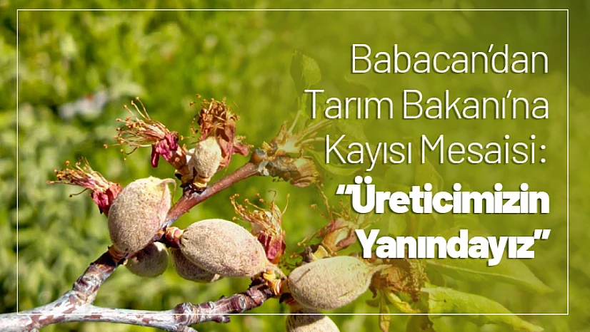 Babacan'dan Tarım Bakanı'na Kayısı Mesaisi: 'Üreticimizin Yanındayız'