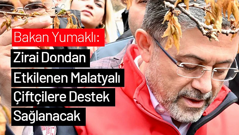 Bakan Yumaklı: Zirai Dondan Etkilenen Malatyalı Çiftçilere Destek Sağlanacak
