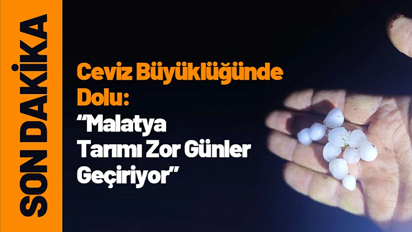 Ceviz Büyüklüğünde Dolu: Malatya Tarımı Zor Günler Geçiriyor