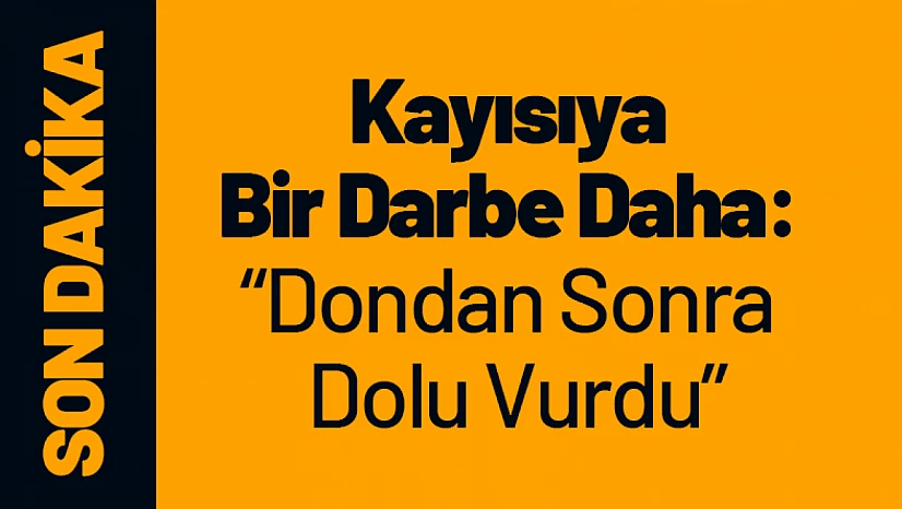 Kayısıya Bir Darbe Daha: Dondan Sonra Dolu Vurdu