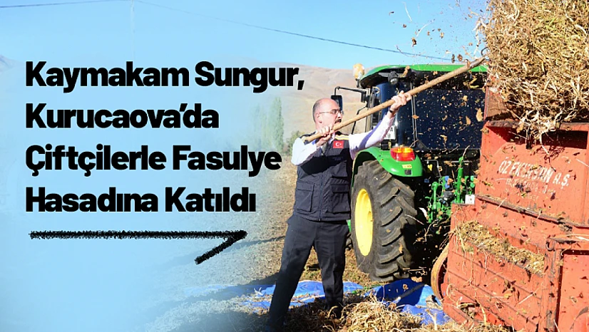 Kaymakam Sungur, Kurucaova'da Çiftçilerle Fasulye Hasadına Katıldı