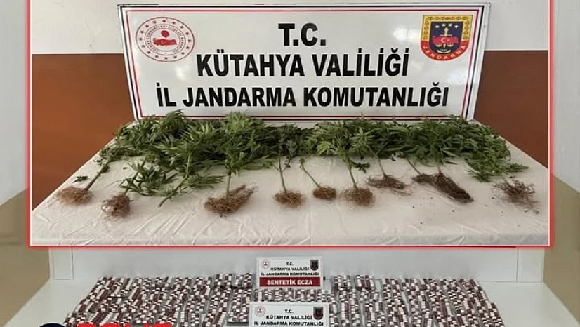 Kütahya'da Jandarmadan Uyuşturucu Operasyonu: 2 Tutuklama