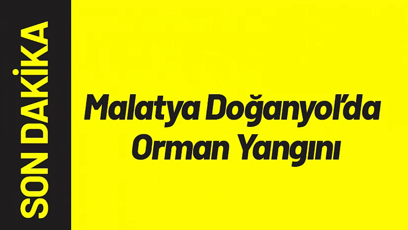 Malatya Doğanyol'da Orman Yangını