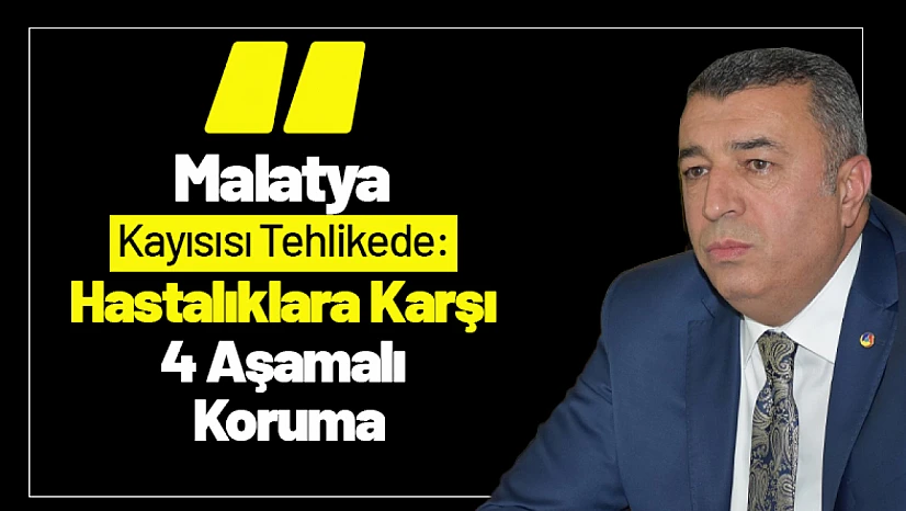 Malatya Kayısısı Tehlikede: Hastalıklara Karşı 4 Aşamalı Koruma