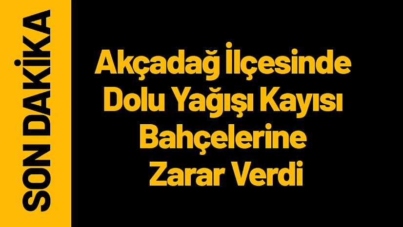 Malatya'nın Akçadağ İlçesinde Dolu Yağışı Kayısı Bahçelerine Zarar Verdi