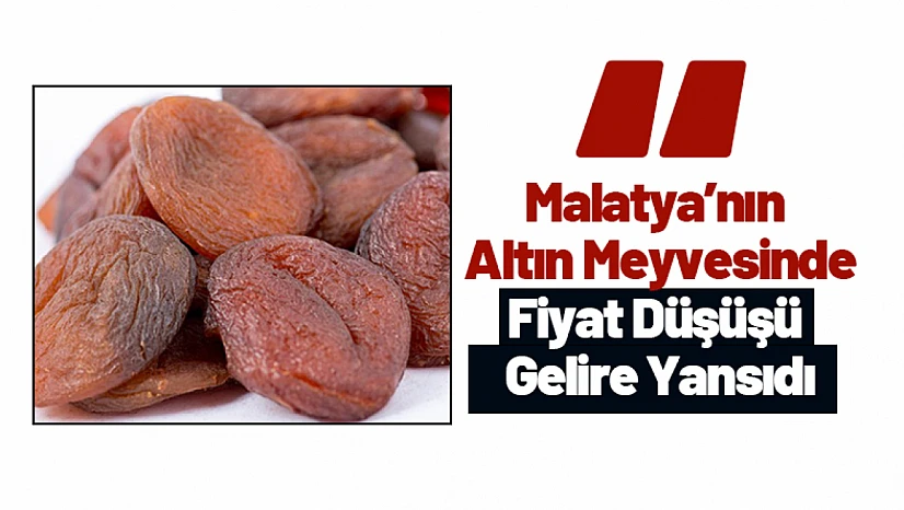 Malatya'nın Altın Meyvesinde Fiyat Düşüşü Gelire Yansıdı