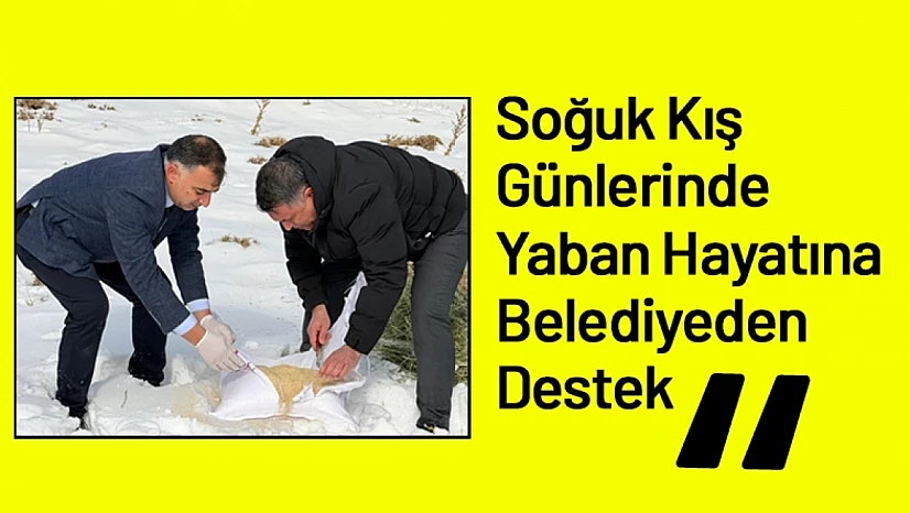 Soğuk Kış Günlerinde Yaban Hayatına Belediyeden Destek