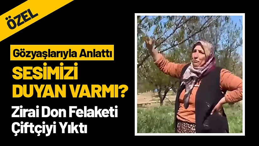Zirai Don Felaketi Çiftçiyi Yıktı: Sesimizi Duyan Varmı?