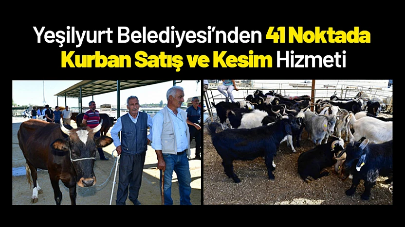 10 Bin Üzerinde Hayvan Satışta: Malatya'da Kurban Pazarı Hareketli