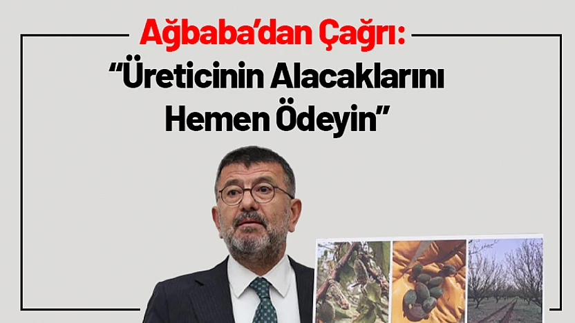 CHP'den Hükümete Çağrı: Üreticinin Alacaklarını Hemen Ödeyin