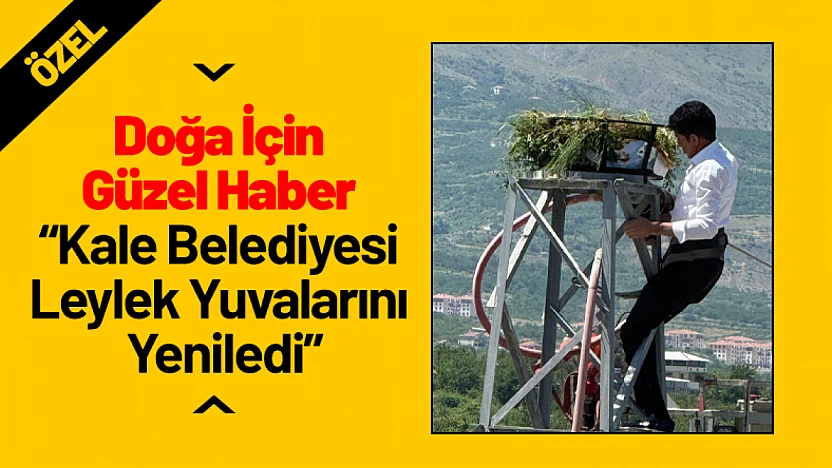 Doğa İçin Güzel Haber: 'Kale Belediyesi Leylek Yuvalarını Yeniledi'