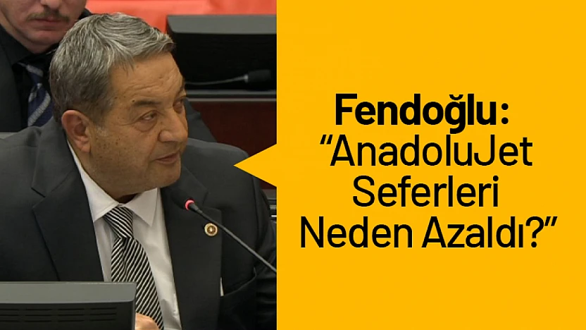 Fendoğlu: 'AnadoluJet Seferleri Neden Azaldı?'