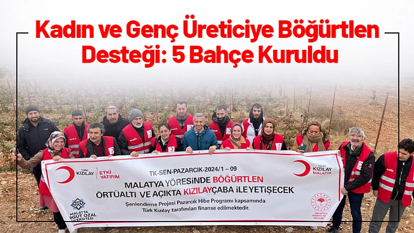 Kadın ve Genç Üreticiye Böğürtlen Desteği: 5 Bahçe Kuruldu