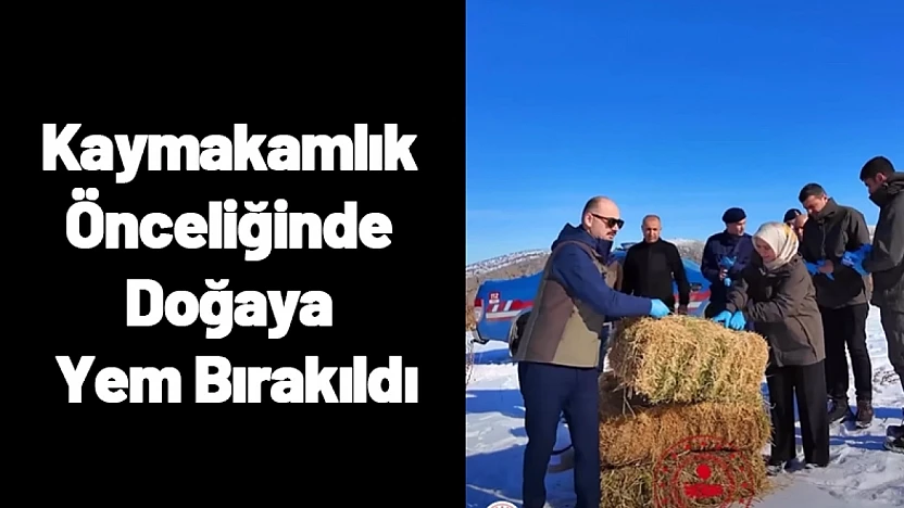 Kaymakamlık Önceliğinde Doğaya Yem Bırakıldı