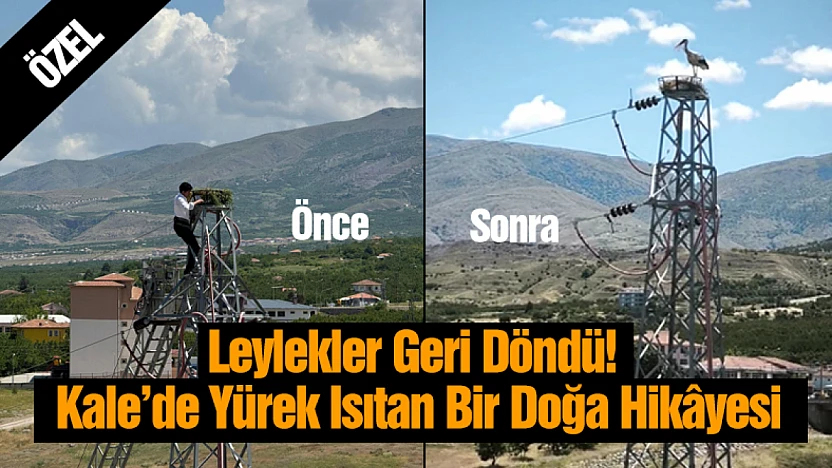 Leylekler Geri Döndü! Kale'de Yürek Isıtan Bir Doğa Hikâyesi