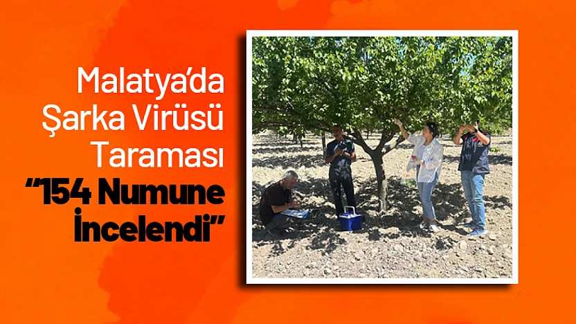 Malatya'da Şarka Virüsü Taraması: 154 Numune İncelendi