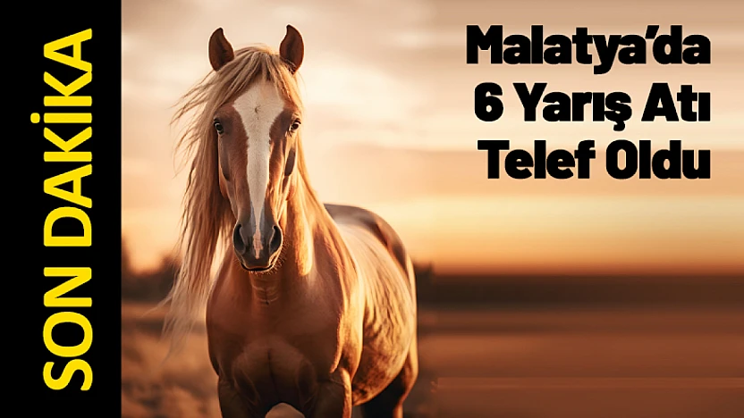 Malatya'da Yarış Atları Karayoluna Çıktı: 6 At Telef