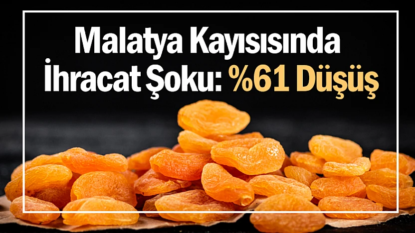 Malatya Kayısısında İhracat Şoku: Yüzde 61 Düşüş