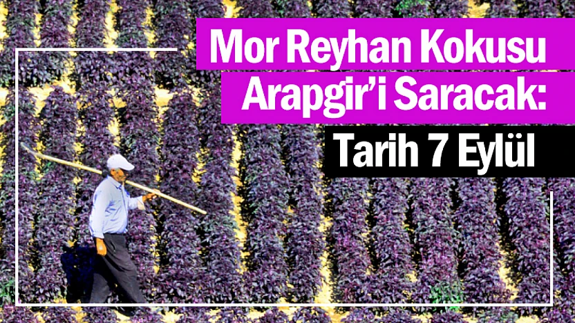 Mor Reyhan Kokusu Arapgir'i Saracak: Tarih 7 Eylül