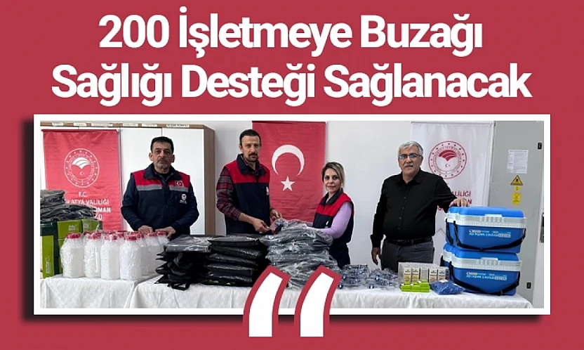 200 İşletmeye Buzağı Sağlığı Desteği Sağlanacak