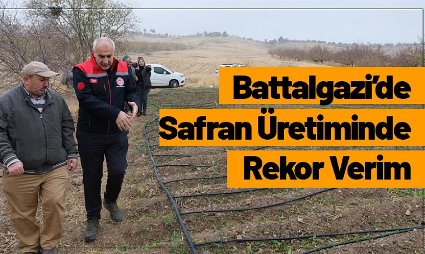 Battalgazi'de Safran Üretiminde Rekor Verim