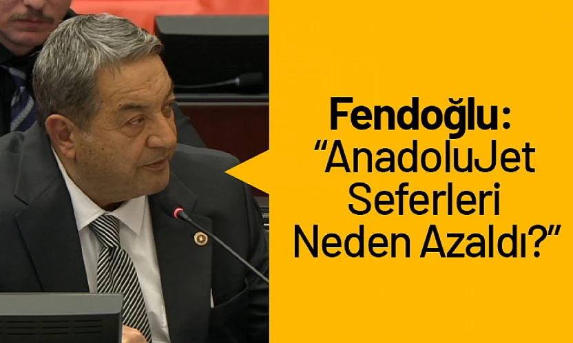 Fendoğlu: 'AnadoluJet Seferleri Neden Azaldı?'