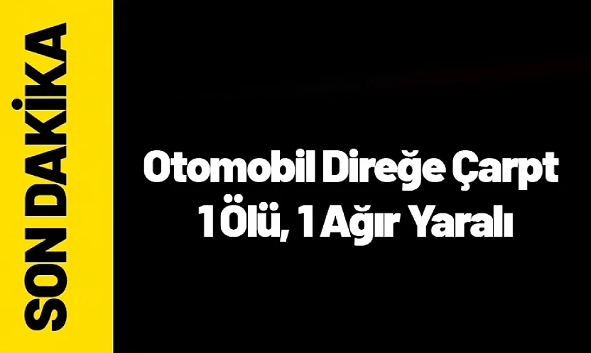 Malatya'da Direğe Çarpan Otomobilde 1 Ölü, 1 Ağır Yaralı