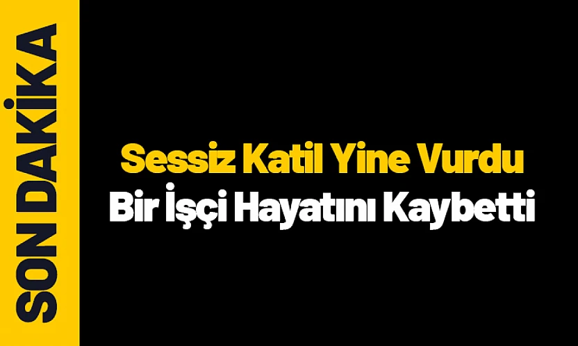 Sessiz Katil Yine Vurdu: Bir İşçi Hayatını Kaybetti