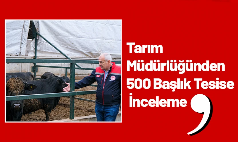 Tarım Müdürlüğünden 500 Başlık Tesise İnceleme